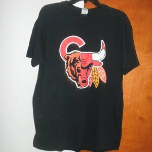Unique Graphic CHICAGO Sport Teams T Shirt  BEARS ~ BLACKHAWKS ~ BULLS ~ CUBS L